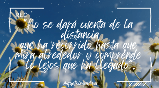 nosedaracuentadelolejosquehallegado.-sashaazevedo