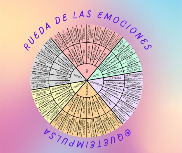 Imagen mostrando La rueda de las emociones de Plutchick