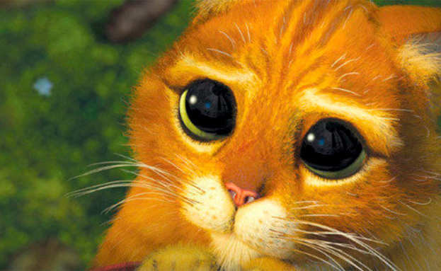 El gato con Botas ojos tiernos que sirve para ilustrar el blog Echando un vistazo a… EL GATO CON BOTAS.escrito por Araceli López